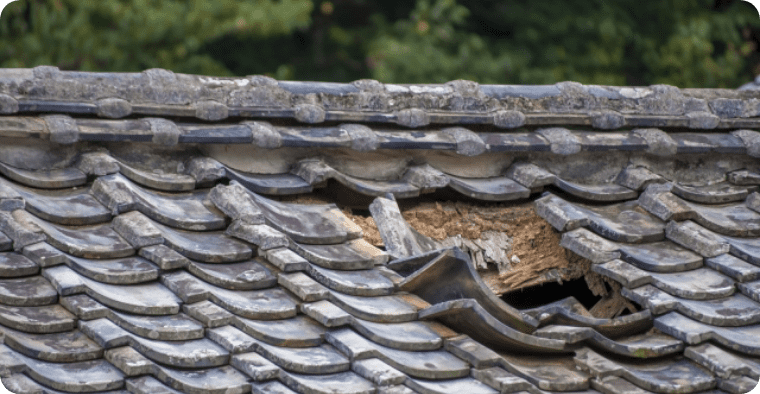 陸屋根屋根工事